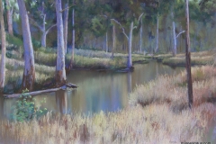 Billabong, Undercliffe -45cm x 65cm, Pastel - SOLD