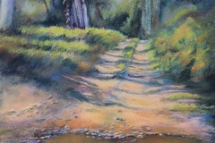 Connors River, Plein Air - 27cm x 17.5cm, Pastel