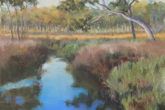 Shadows at the Waterhole - 32cm x 22cm, Pastel - $580