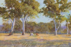 In Golden Light - 22cm x 32cm, Pastel - $580