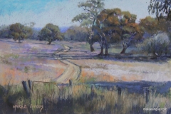 Southern Pastures - 22cm x 32cm, Pastel - SOLD