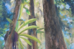 Rainforest Canopy - 65cm x 45cm, Mixed Media