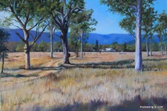 Undercliffe Homestead - 45cm x 65cm, Pastel - Commission