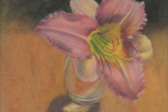 Day-Lily-Oil